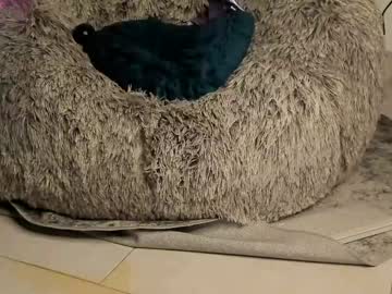 girl Live Sex Girls On Cam with samii_monroe