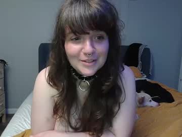 girl Live Sex Girls On Cam with lil___cerberus